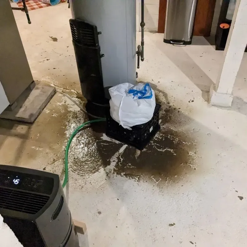 Sewage Backup Cleanup Service in Cordry Sweetwater Lakes, IN